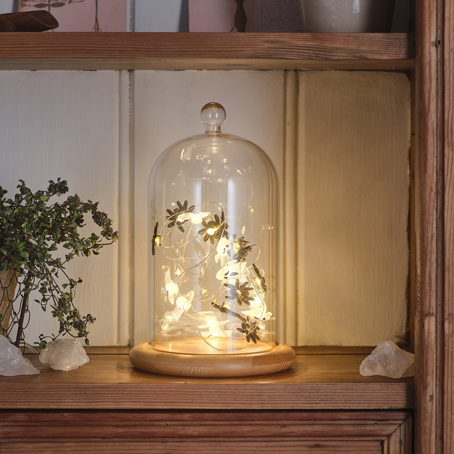 Glaskuppel mit Mikro-LED-Lichterkette